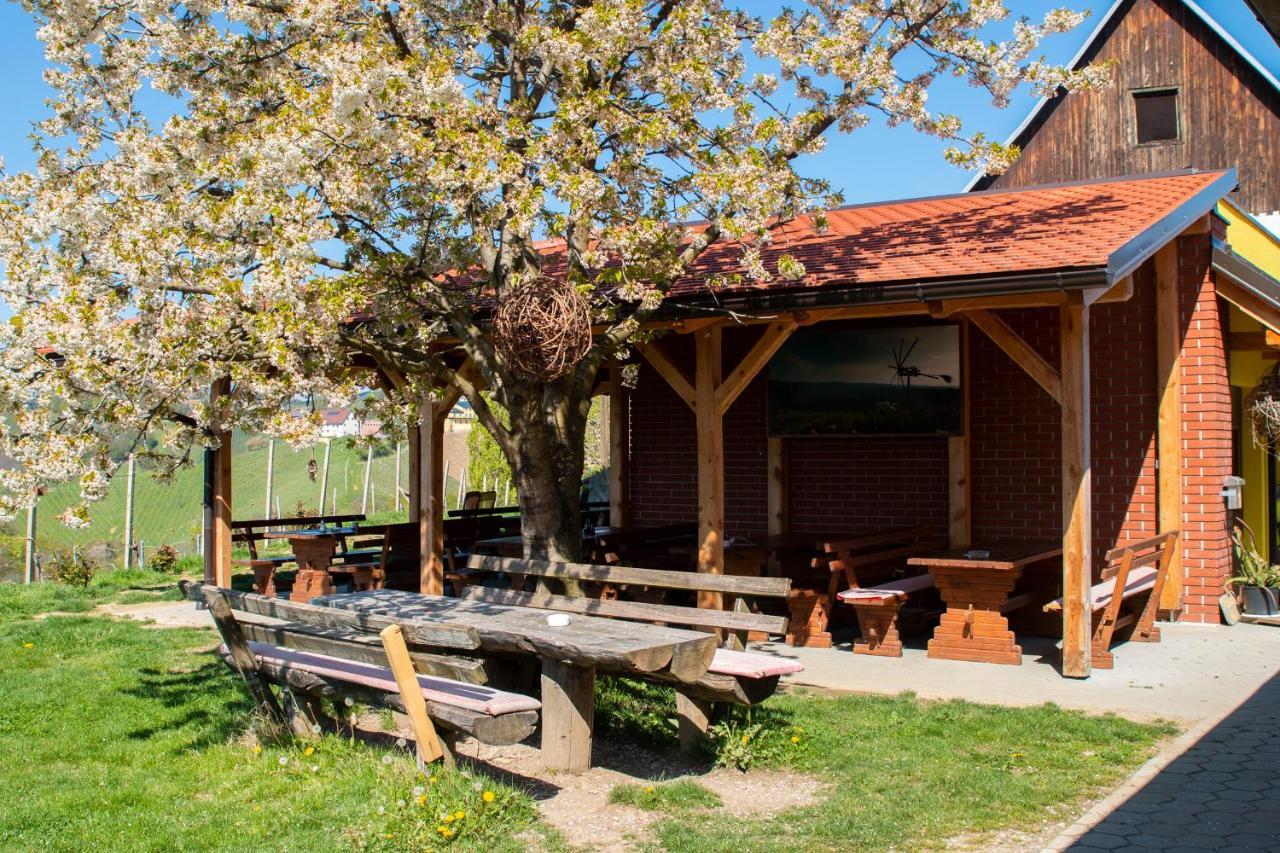 Turisticna Kmetija Dreisiebner Villa Spicnik Buitenkant foto